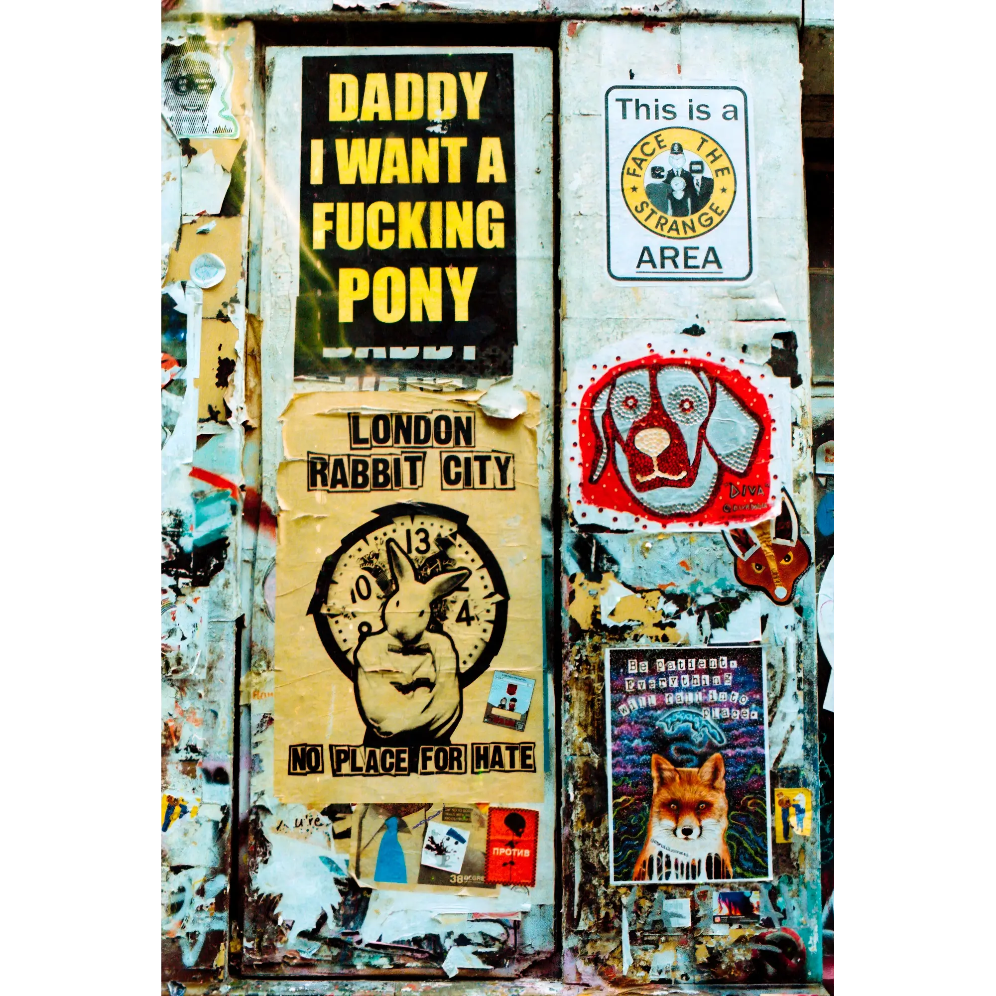 Daddy i Want a Fucking Pony – Daddy i Want a Fucking Pony / S